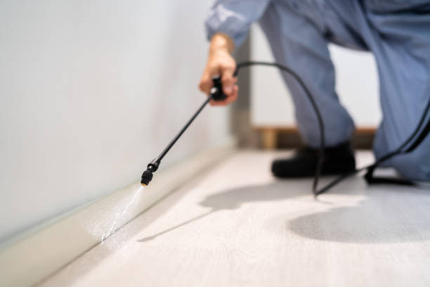 Licensed Pest Control service in Fulton, TX - Show Me Pest Control