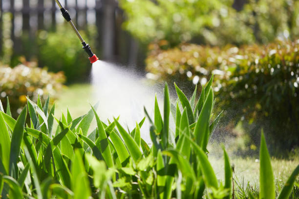 24/7 Emergency Ant Control experts in Fulton, TX
