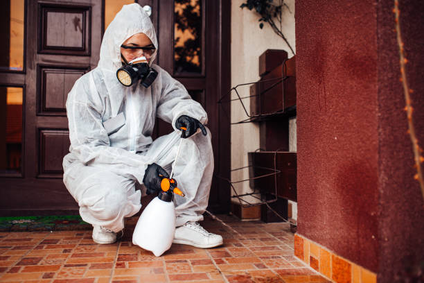 Reliable Ant Control contractor in Fulton, TX by Show Me Pest Control